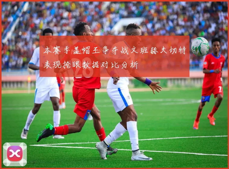 本赛季盖帽王争夺战文班赫夫切特表现抢眼数据对比分析